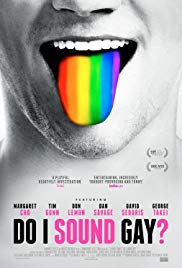 Do I Sound Gay? (2