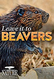 Leave It to Beavers (2014) Poster