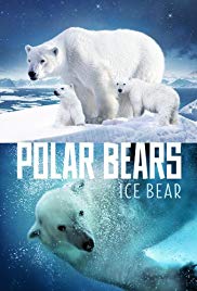 Polar Bears: Ice B