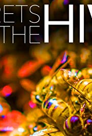 Secrets of the Hiv