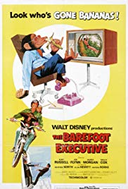 The Barefoot Execu