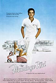 The Flamingo Kid (
