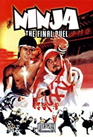 Ninja: The Final D
