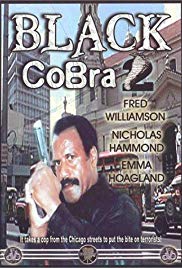 The Black Cobra 2 