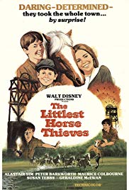 The Littlest Horse