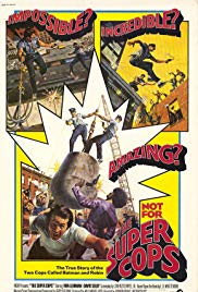 The Super Cops (19