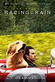 The Art of Racing 