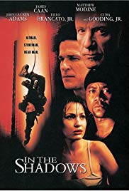 In the Shadows (20