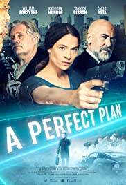 A Perfect Plan (20