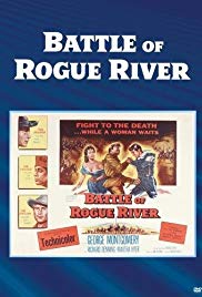 Battle of Rogue Ri