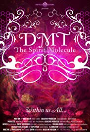 DMT: The Spirit Mo