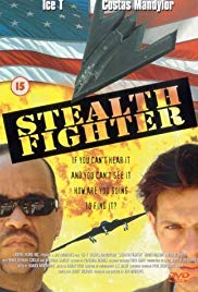Stealth Fighter (1