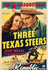 Three Texas Steers