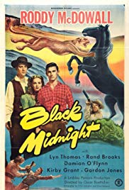 Black Midnight (19