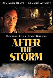 After the Storm (2