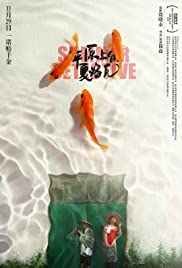 Summer Detective (