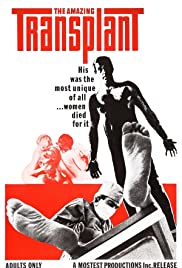 The Amazing Transp