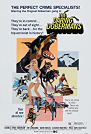 The Daring Doberma