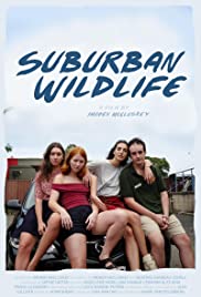 Suburban Wildlife 