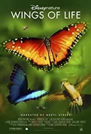 Disneynature: Wing