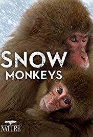 Snow Monkeys (2014