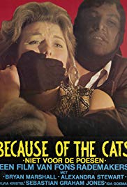 Because of the Cat