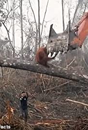 Climate Change: Th