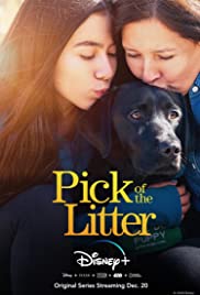 Pick of the Litter