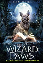 The Amazing Wizard