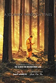A Journey Through 