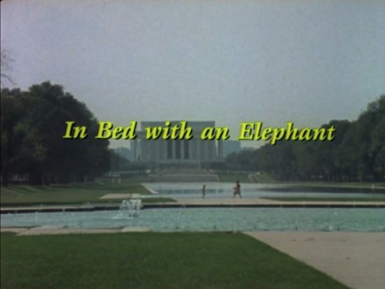 In Bed with an Ele