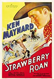 Strawberry Roan (1