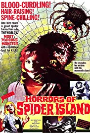 The Spiders Web (1