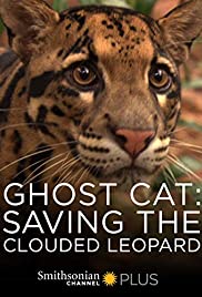 Ghost Cat: Saving 