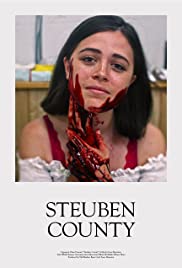 Steuben County (20