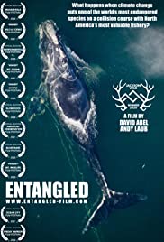 Entangled: The Rac