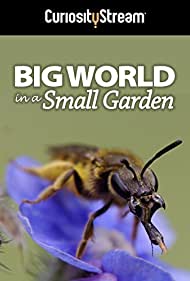Big World in a Sma