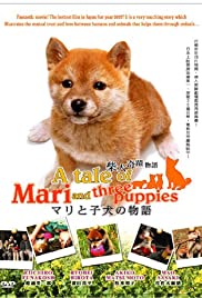 A Tale of Mari and
