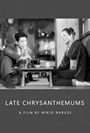 Late Chrysanthemum