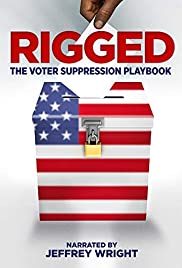 Rigged: The Voter 