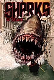 Shark in Venice (2