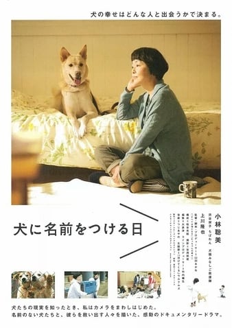 Inu ni namae wo ts