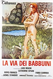 La via dei babbuin