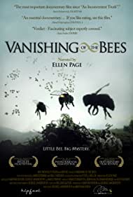Vanishing of the B