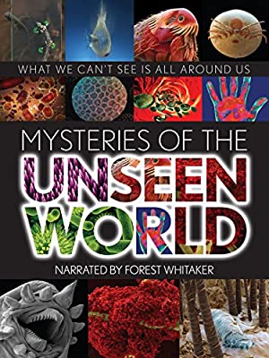Mysteries of the U