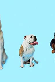 How Dogs Got Their
