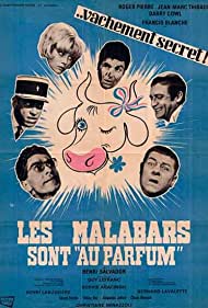 Les malabars sont 