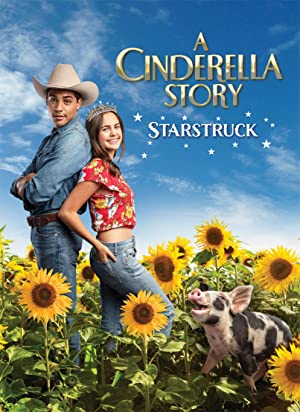 A Cinderella Story