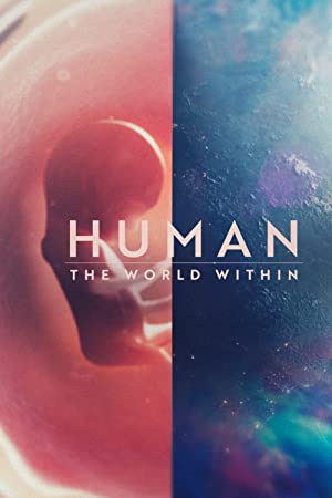 Human: The World W