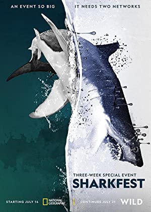 Man vs. Shark (201